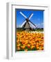 Dutch Windmills and Tulips-Jeni Foto-Framed Photographic Print