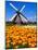 Dutch Windmills and Tulips-Jeni Foto-Mounted Photographic Print