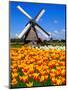 Dutch Windmills and Tulips-Jeni Foto-Mounted Photographic Print