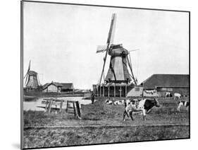 Dutch Windmills, Holland, Late 19th Century-John L Stoddard-Mounted Giclee Print