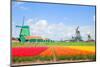 Dutch Windmills over Flower Fields-neirfy-Mounted Photographic Print