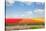 Dutch Yellow Tulip Fields in Sunny Day-neirfy-Stretched Canvas