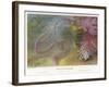 Duvernoy's Synapte and Other Deep Sea Creatures-P. Lackerbauer-Framed Art Print