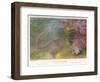 Duvernoy's Synapte and Other Deep Sea Creatures-P. Lackerbauer-Framed Art Print