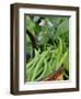 Dwarf Beans, 'Pongo' Harvested Crop in Rustic Trug with Plant and Flowers in Back, Norfolk, UK-Gary Smith-Framed Photographic Print