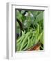 Dwarf Beans, 'Pongo' Harvested Crop in Rustic Trug with Plant and Flowers in Back, Norfolk, UK-Gary Smith-Framed Photographic Print