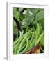 Dwarf Beans, 'Pongo' Harvested Crop in Rustic Trug with Plant and Flowers in Back, Norfolk, UK-Gary Smith-Framed Photographic Print