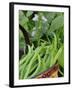 Dwarf Beans, 'Pongo' Harvested Crop in Rustic Trug with Plant and Flowers in Back, Norfolk, UK-Gary Smith-Framed Photographic Print