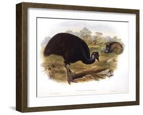 Dwarf Cassowary (Casuarius Bennetti)-John Gould-Framed Giclee Print