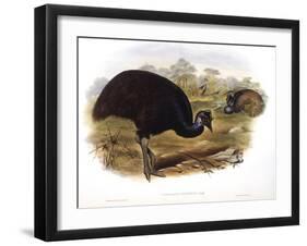 Dwarf Cassowary (Casuarius Bennetti)-John Gould-Framed Giclee Print