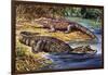 Dwarf Crocodile or Bony Crocodile (Osteolaemus Tetraspis), Crocodylidae-null-Framed Premium Giclee Print