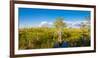 Dwarf Cypress Trees in a field, Everglades National Park, Florida, USA-null-Framed Photographic Print