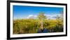 Dwarf Cypress Trees in a field, Everglades National Park, Florida, USA-null-Framed Photographic Print