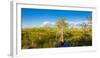 Dwarf Cypress Trees in a field, Everglades National Park, Florida, USA-null-Framed Photographic Print