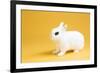 Dwarf Hotot Rabbit-Lynn M^ Stone-Framed Photographic Print