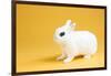 Dwarf Hotot Rabbit-Lynn M^ Stone-Framed Photographic Print