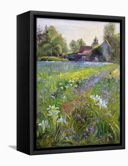 Dwarf Irises and Cottage, 1993-Timothy Easton-Framed Stretched Canvas