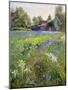 Dwarf Irises and Cottage, 1993-Timothy Easton-Mounted Giclee Print