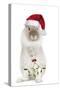 Dwarf Lion-Head Rabbit on Hind Legs Wearing Christmas-null-Stretched Canvas