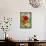 Dwarf Nasturtium Seed Packet-Lantern Press-Framed Stretched Canvas displayed on a wall