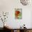 Dwarf Nasturtium Seed Packet-Lantern Press-Stretched Canvas displayed on a wall