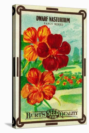 Dwarf Nasturtium Seed Packet-Lantern Press-Stretched Canvas