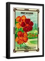 Dwarf Nasturtium Seed Packet-Lantern Press-Framed Art Print