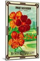 Dwarf Nasturtium Seed Packet-Lantern Press-Mounted Art Print