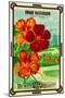 Dwarf Nasturtium Seed Packet-Lantern Press-Mounted Art Print