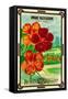 Dwarf Nasturtium Seed Packet-Lantern Press-Framed Stretched Canvas