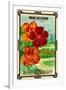 Dwarf Nasturtium Seed Packet-Lantern Press-Framed Art Print