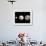 Dwarf Planets Ceres, Pluto, and Eris-Stocktrek Images-Framed Photographic Print displayed on a wall