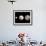 Dwarf Planets Ceres, Pluto, and Eris-Stocktrek Images-Framed Photographic Print displayed on a wall