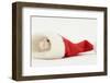 Dwarf Russian Hamster (Phodopus Sungorus) in a Father Christmas Hat-Mark Taylor-Framed Photographic Print