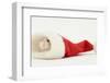 Dwarf Russian Hamster (Phodopus Sungorus) in a Father Christmas Hat-Mark Taylor-Framed Photographic Print