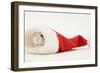 Dwarf Russian Hamster (Phodopus Sungorus) in a Father Christmas Hat-Mark Taylor-Framed Photographic Print