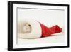 Dwarf Russian Hamster (Phodopus Sungorus) in a Father Christmas Hat-Mark Taylor-Framed Photographic Print