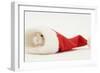 Dwarf Russian Hamster (Phodopus Sungorus) in a Father Christmas Hat-Mark Taylor-Framed Photographic Print