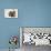 Dwarf Spitz Puppy-null-Stretched Canvas displayed on a wall
