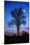 Dwelling of the Moon-Philippe Sainte-Laudy-Mounted Photographic Print