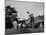 Dwight D. Eisenhower at Ottowa Hunt Club Playing Golf-null-Mounted Photographic Print