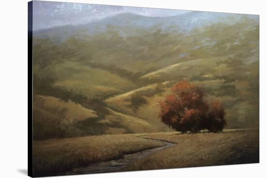 Dwindling Fall-Simon Winegar-Stretched Canvas