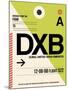DXB Dubai Luggage Tag I-NaxArt-Mounted Art Print