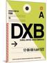 DXB Dubai Luggage Tag I-NaxArt-Mounted Art Print