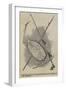 Dyak Weapon-null-Framed Giclee Print