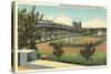 Dyche Stadium, Northwestern University-null-Stretched Canvas