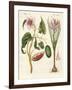 Dye Plants-null-Framed Giclee Print