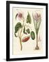 Dye Plants-null-Framed Giclee Print