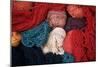 Dyed Wool-Alison Wright-Mounted Photographic Print