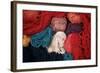 Dyed Wool-Alison Wright-Framed Photographic Print